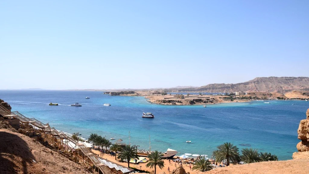 الفندق الباتروس شرم ريزورت - شرم الشيخ